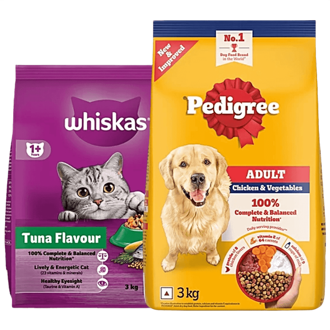 Pet Care
