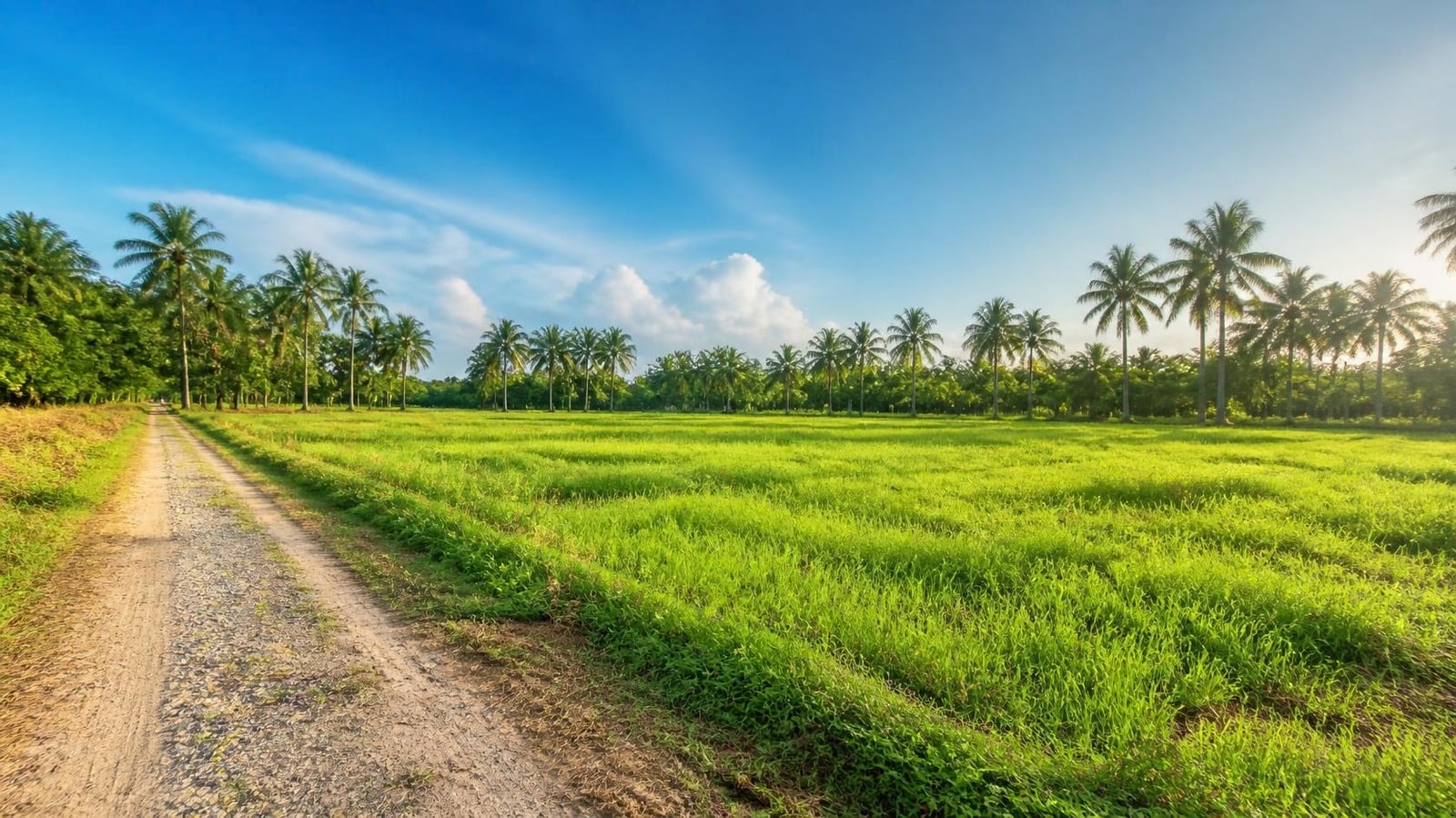 Property & land - 2 / 5